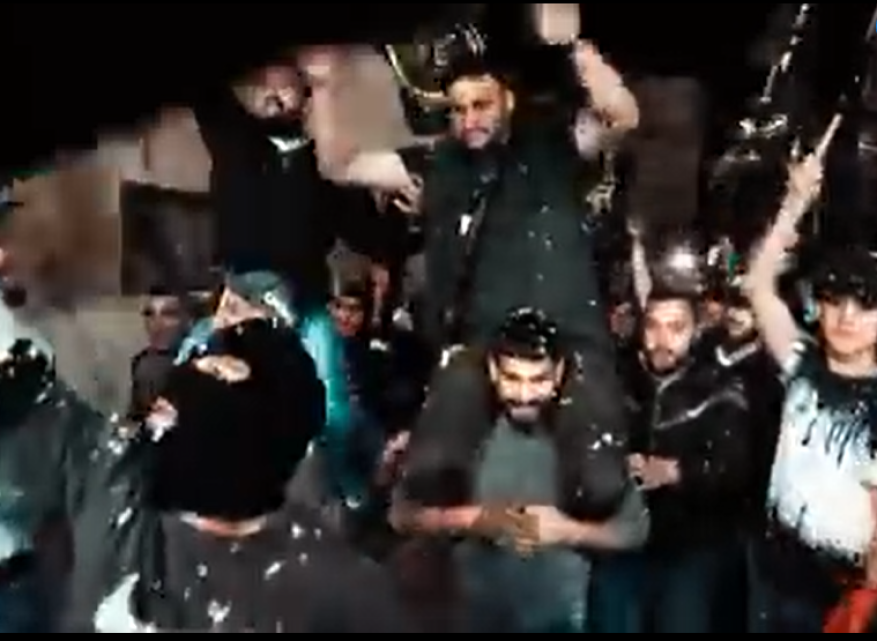 النسخة المصغرة