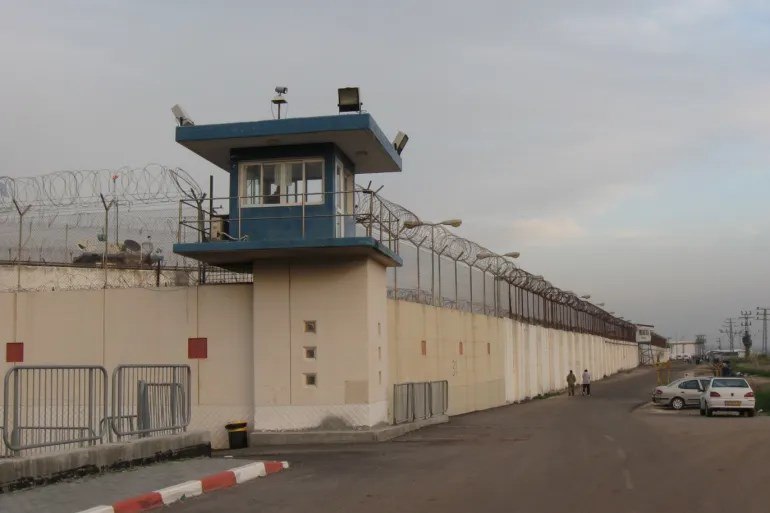 النسخة المصغرة